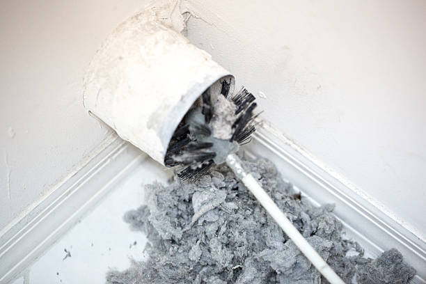 Best Home Air Vent Cleaning  in Riverview, FL